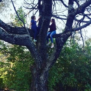 Meet your Posher, Jara